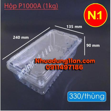 HỘP NHỰA P1000A