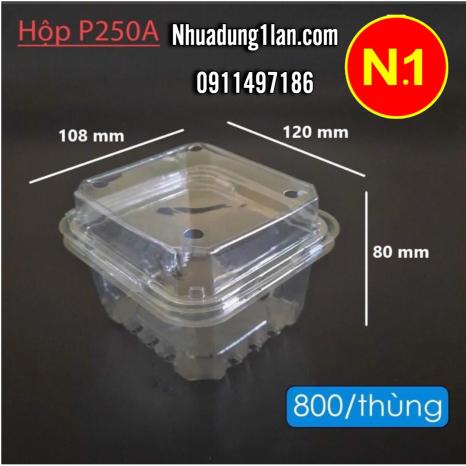HỘP P250A